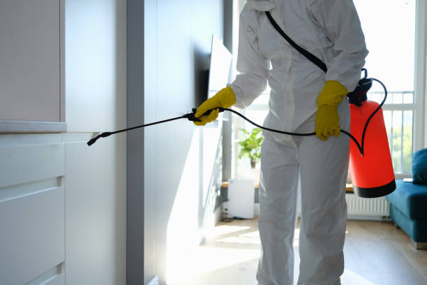 Best Attic Mold Remediation in Poughkeepsie, NY