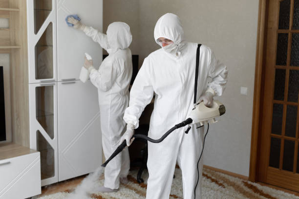 Trusted Poughkeepsie, NY Mold Remediation Experts