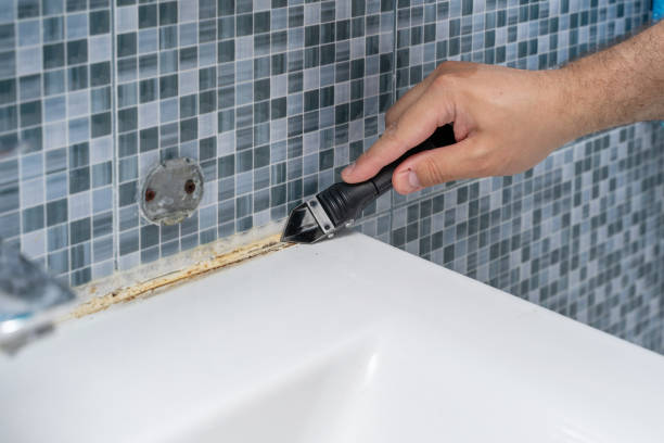 Best Health and Safety Mold Remediation in Poughkeepsie, NY