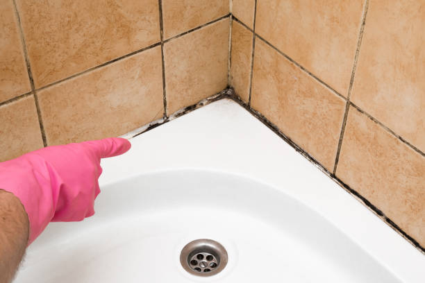 Trusted Poughkeepsie, NY Mold Remediation Experts